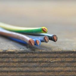 Copper strands insulated by a plastic outer coating.